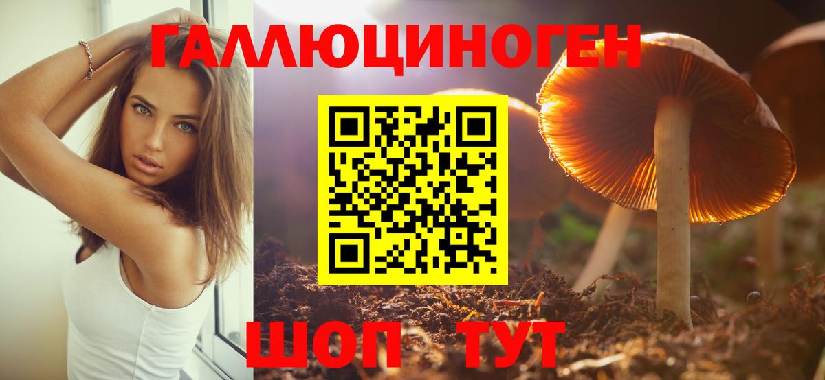 Галлюциногенные грибы Psilocybe Кинель
