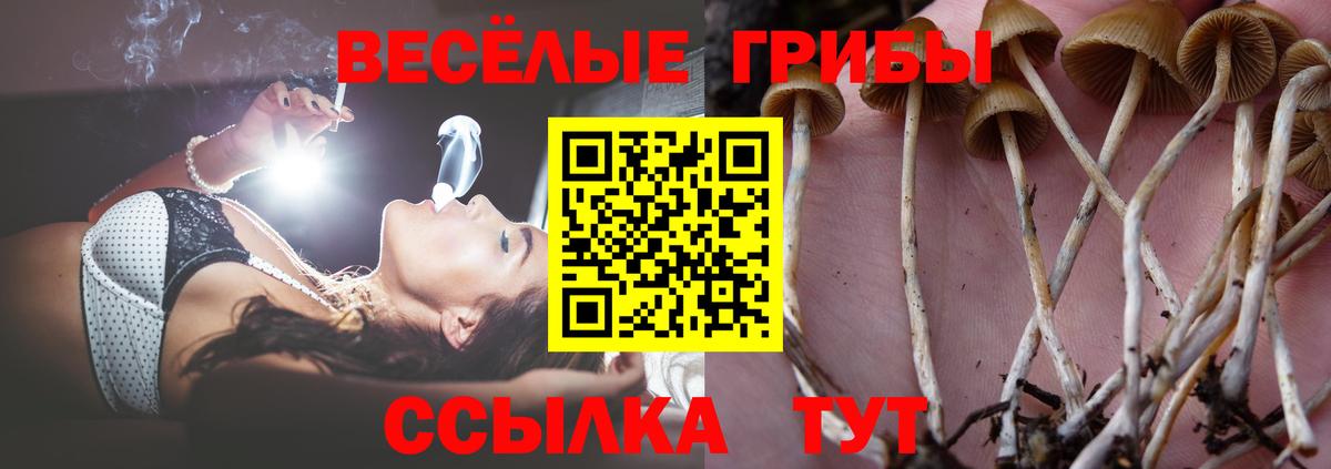 Псилоцибиновые грибы прущие грибы  Вход с VPN  Кинель  Галлюциногенные грибы Cubensis 